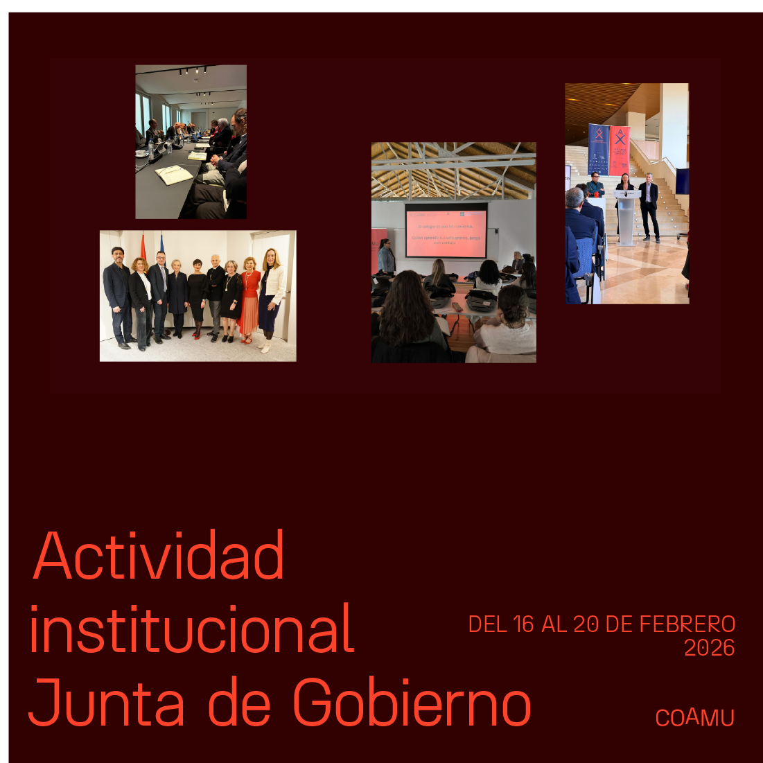 Actividad institucional junta de gobierno 16-20 febrero