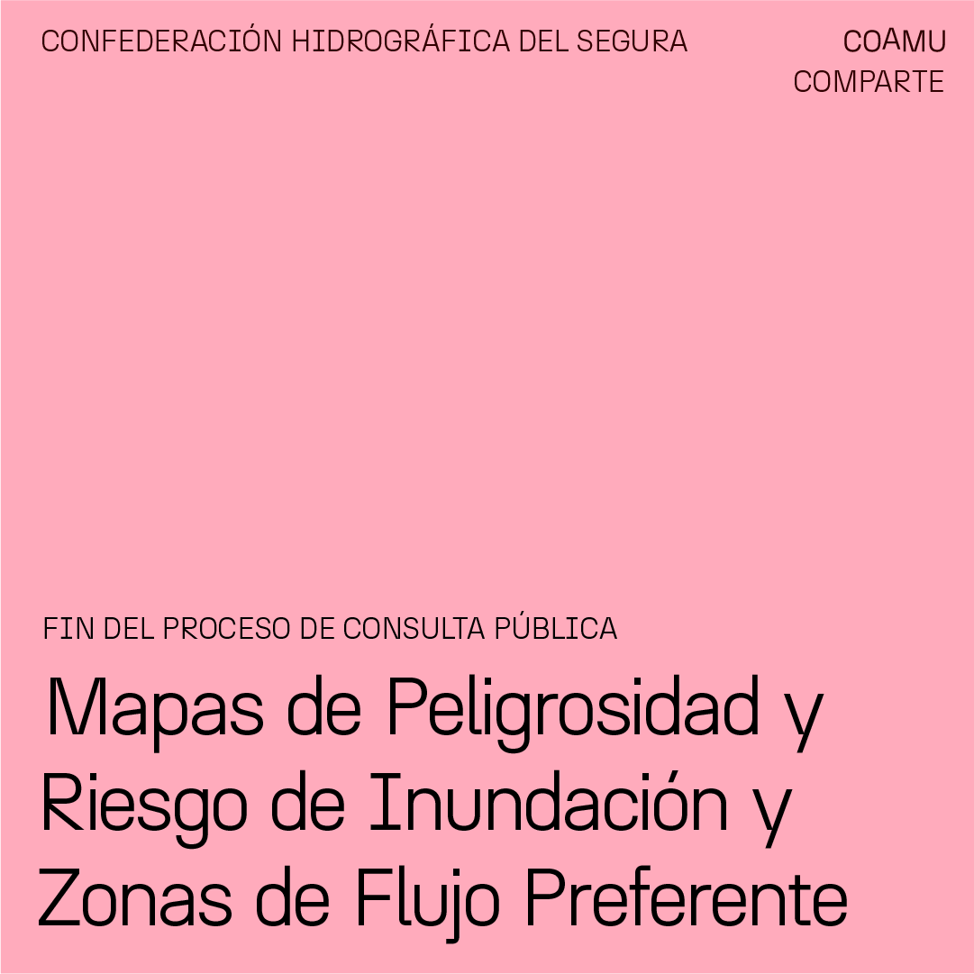 CONCLUSI�N PROCESO DE CONSULTA P�BLICA MAPAS DE PELIGROSIDAD Y RIESGO DE INUNDACI�N DEMARCACI�N HIDROGR�FICA DEL SEGURA. (3� CICLO) Y ZONAS DE FLUJO PREFERENTE