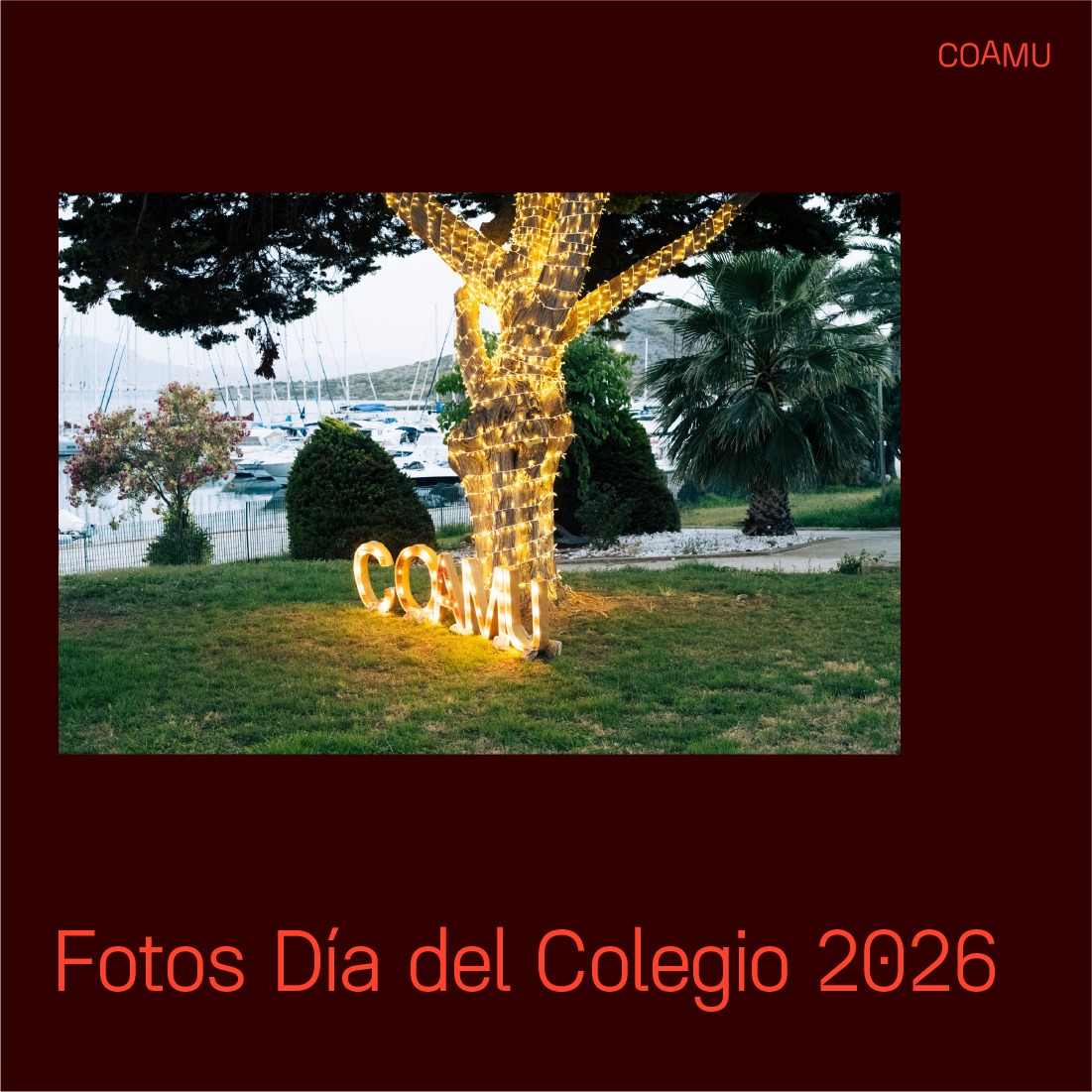 FOTOS Y VIDEO D�A DEL COLEGIO 2026