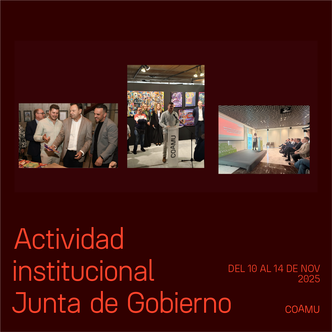 Actividad institucional junta de gobierno 10-14 diciembre