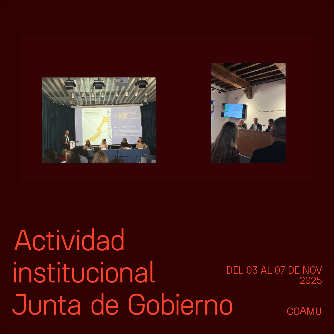 Actividad institucional junta de gobierno 27 de octubre al 7 de noviembre